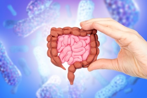 Probiotici e difese immunitarie: domande frequenti